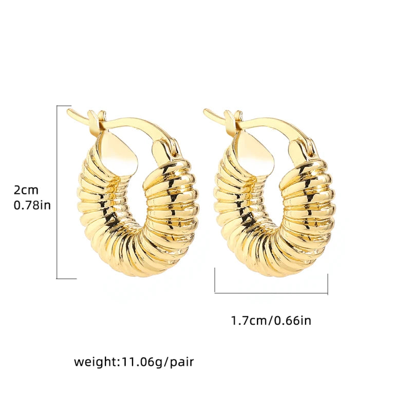 Classic Stainless Steel Waterproof Chunky Hammered Hoop Earrings Unusual Empty Stacked Circle Ear Ring Buckle Huggie Jewelry