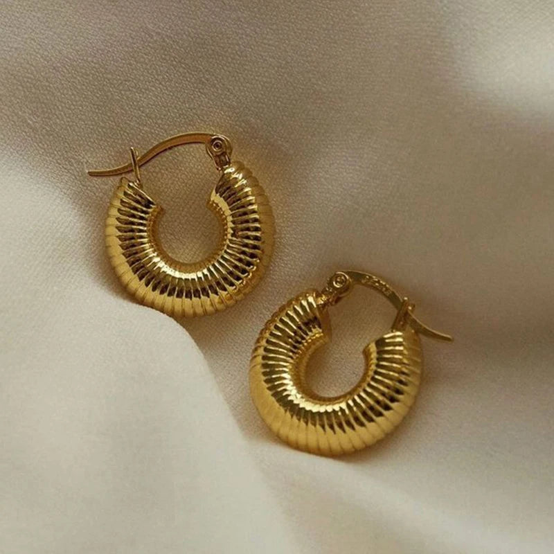 Classic Stainless Steel Waterproof Chunky Hammered Hoop Earrings Unusual Empty Stacked Circle Ear Ring Buckle Huggie Jewelry